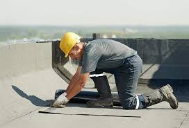 Best Roof Coating and Sealing  in Le Center, MN